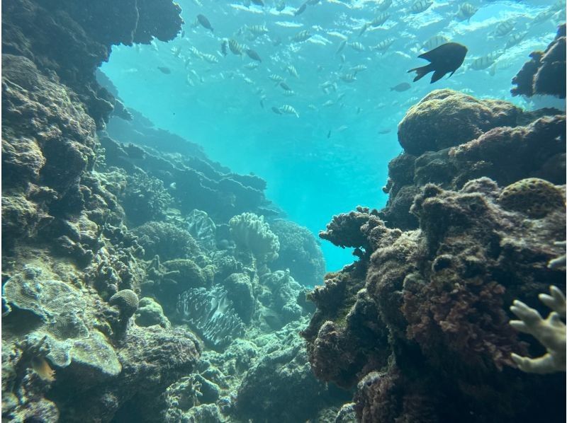【沖縄北部・本部~瀬底島~水納島・シュノーケリング】透明度抜群の人気スポット！初心者・泳げない方でも安心の少人数制ツアー！の紹介画像