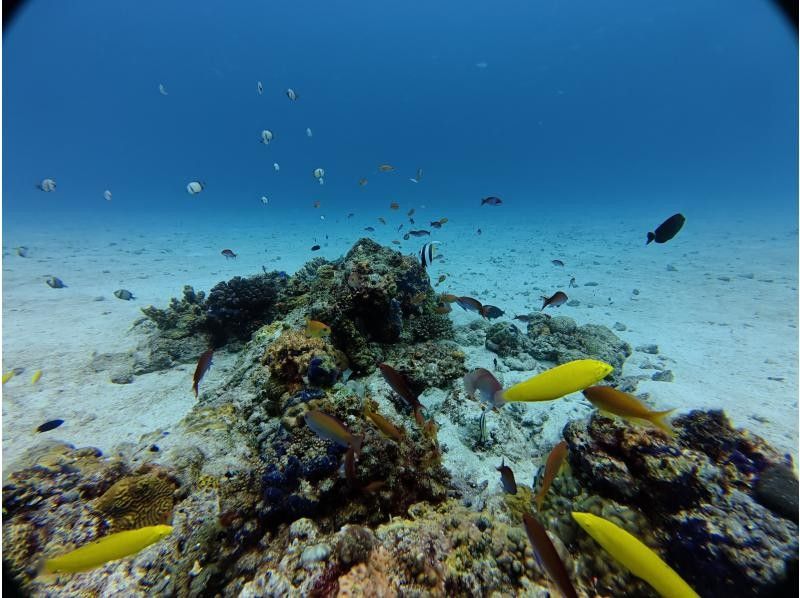 【沖縄北部・本部~瀬底島~水納島・シュノーケリング】透明度抜群の人気スポット！初心者・泳げない方でも安心の少人数制ツアー！の紹介画像