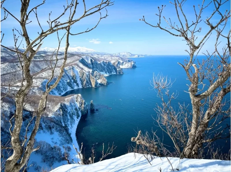 【北海道・余市駅発着】余市シリパ山スノーシュートレッキング｜絶景の積丹ブルーを楽しむ冬のアクティビティの紹介画像