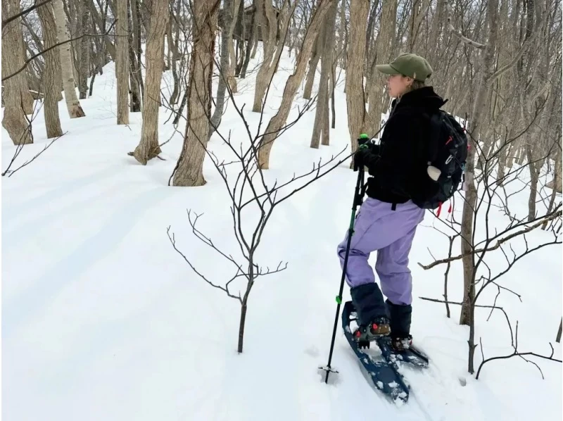【北海道・余市駅発着】余市シリパ山スノーシュートレッキング｜絶景の積丹ブルーを楽しむ冬のアクティビティの紹介画像