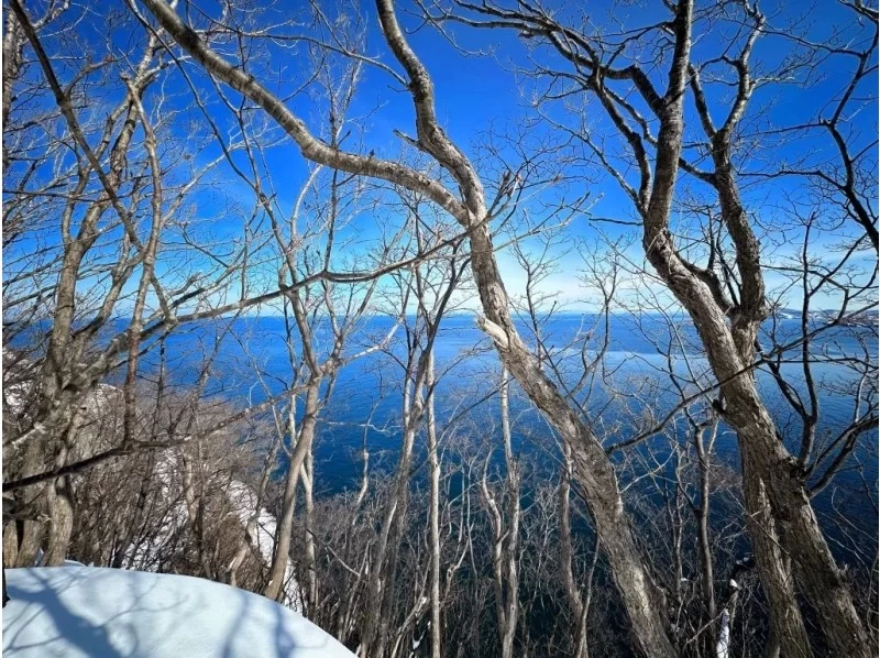 [Hokkaido, Yoichi, Snowshoeing] A spectacular winter course with ocean views. A winter activity to enjoy the Shakotan Blue and deep snow forests! Pick-up service available from JR Yoichi Station!の紹介画像