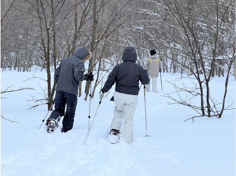 [Hokkaido, Yoichi, Snowshoeing] A spectacular winter course with ocean views. A winter activity to enjoy the Shakotan Blue and deep snow forests! Pick-up service available from JR Yoichi Station!の紹介画像
