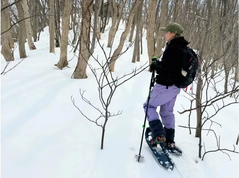 [Hokkaido, Yoichi, Snowshoeing] A spectacular winter course with ocean views. A winter activity to enjoy the Shakotan Blue and deep snow forests! Pick-up service available from JR Yoichi Station!の紹介画像