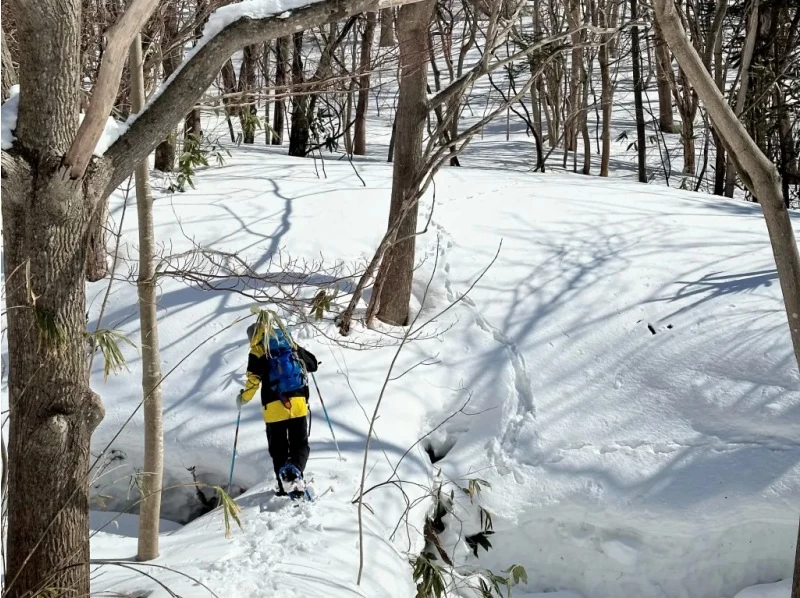 【北海道・余市駅発着】余市シリパ山スノーシュートレッキング｜絶景の積丹ブルーを楽しむ冬のアクティビティの紹介画像