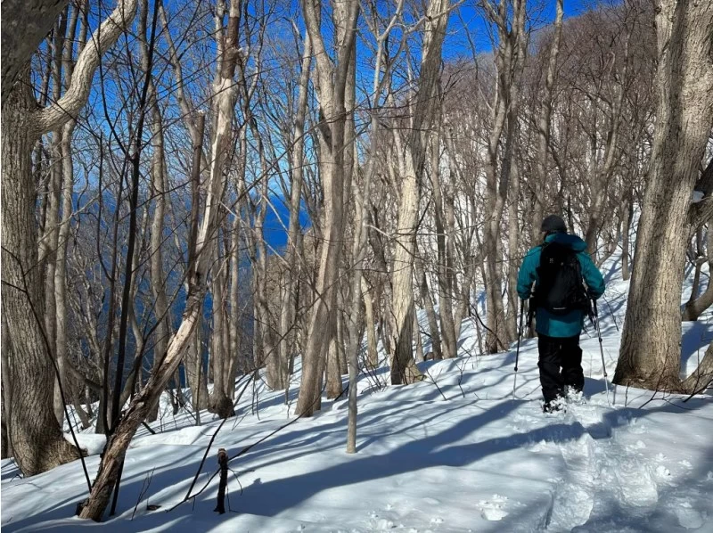 【北海道・余市駅発着】余市シリパ山スノーシュートレッキング｜絶景の積丹ブルーを楽しむ冬のアクティビティの紹介画像