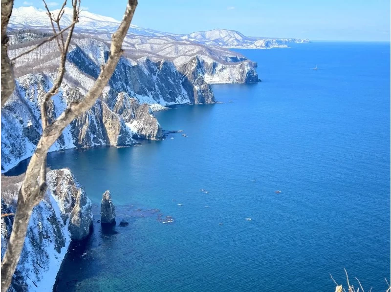 [Hokkaido, Yoichi, Snowshoeing] A spectacular winter course with ocean views. A winter activity to enjoy the Shakotan Blue and deep snow forests! Pick-up service available from JR Yoichi Station!の紹介画像