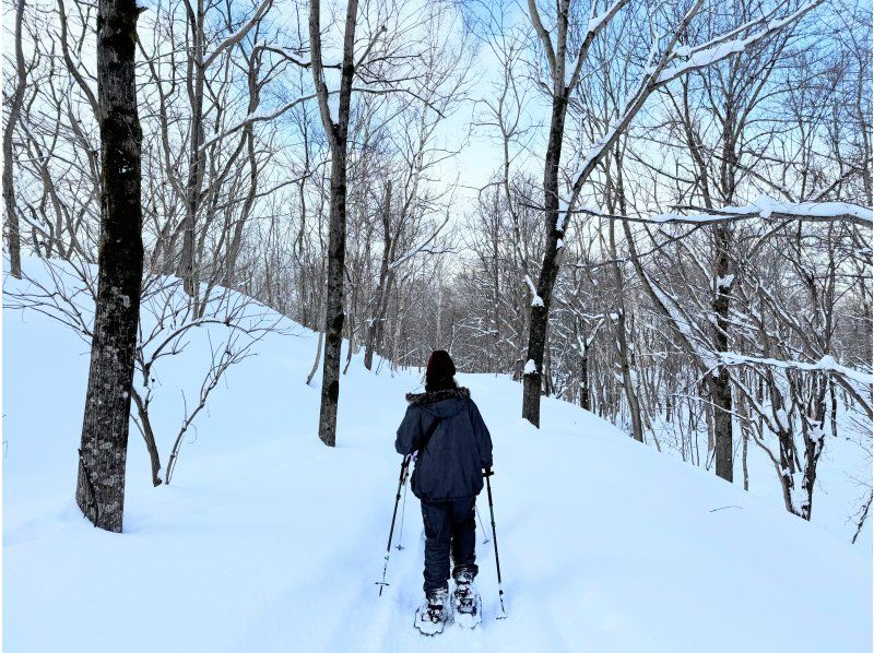 [Hokkaido, Yoichi, Snowshoeing] A spectacular winter course with ocean views. A winter activity to enjoy the Shakotan Blue and deep snow forests! Pick-up service available from JR Yoichi Station!の紹介画像