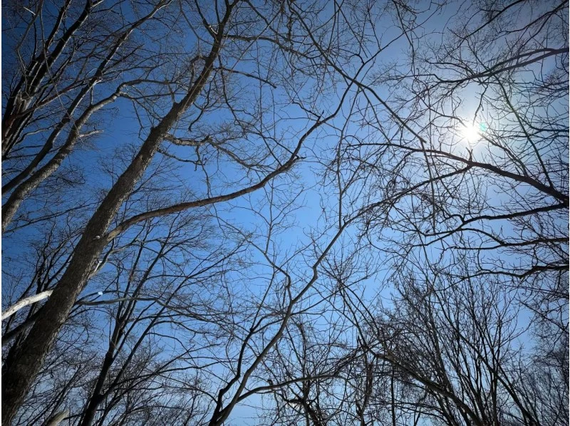【北海道・余市駅発着】余市シリパ山スノーシュートレッキング｜絶景の積丹ブルーを楽しむ冬のアクティビティの紹介画像