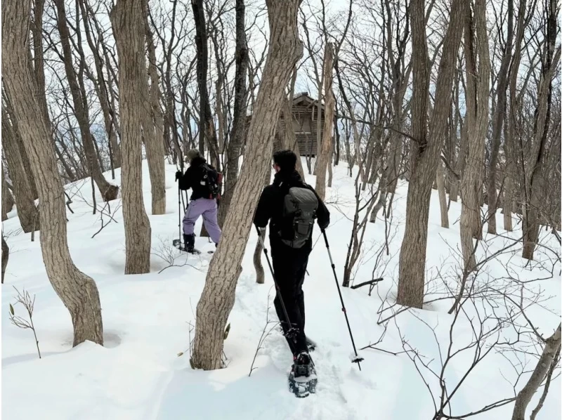 【北海道・余市駅発着】余市シリパ山スノーシュートレッキング｜絶景の積丹ブルーを楽しむ冬のアクティビティの紹介画像