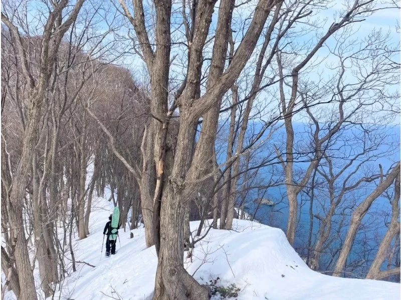 [Hokkaido, Yoichi, Snowshoeing] A spectacular winter course with ocean views. A winter activity to enjoy the Shakotan Blue and deep snow forests! Pick-up service available from JR Yoichi Station!の紹介画像