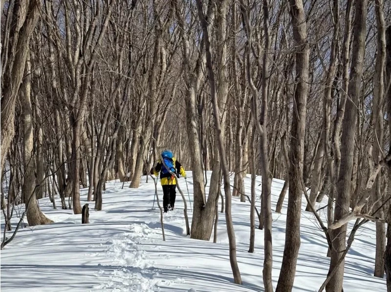 [Hokkaido, Yoichi, Snowshoeing] A spectacular winter course with ocean views. A winter activity to enjoy the Shakotan Blue and deep snow forests! Pick-up service available from JR Yoichi Station!の紹介画像