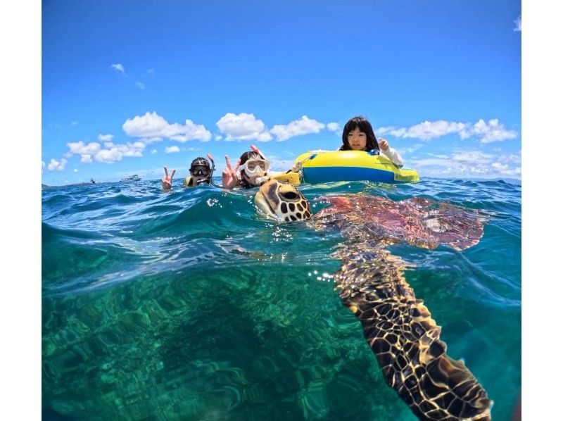 【石垣岛】幽灵岛与海龟浮潜之旅，邂逅率高达99%。小团出行，全程贴心服务。适合0-85岁。（当日预订，含交通接送，赠送照片和视频）の紹介画像