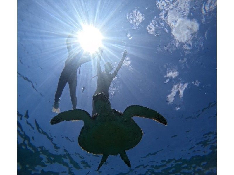 【石垣島】幻の島&ウミガメシュノーケルツアー☆遭遇率99%少人数制で手厚くサポート0歳〜85歳OK（当日予約・送迎・写真や動画プレゼント)の紹介画像