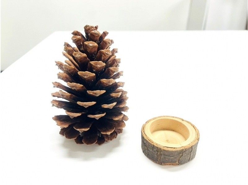 [Miyagi, Sendai City] Natural and cute! Let's make a pine cone tree!の紹介画像