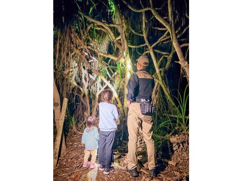 【沖縄・宮古島】月明かりの下でワクワク！懐中電灯を片手にドキドキ。日本最大のヤシガニを探す夜の大冒険なナイトツアー！貴重な体験がここに！の紹介画像