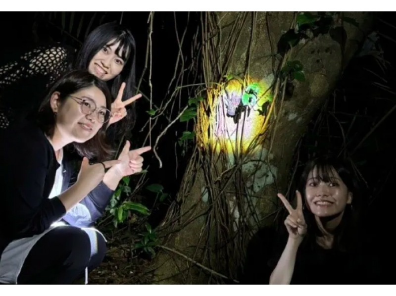 [Okinawa, Miyakojima] Set off on an exciting adventure with a flashlight in hand ~ A tour that can only be experienced here and can be enjoyed safely by families and couples!の紹介画像