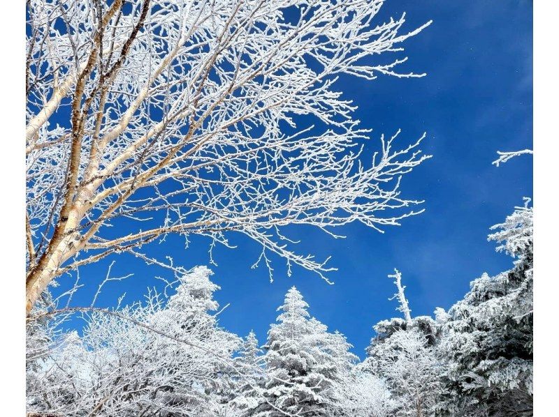 [Takashima/Kutsuki] Hebiyagamine Snow Hike Tour "Trekking with fantastic snow scenery and spectacular views of Lake Biwa!"の紹介画像