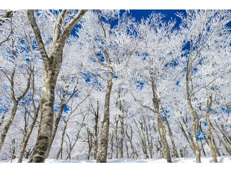 [Takashima/Kutsuki] Hebiyagamine Snow Hike Tour "Trekking with fantastic snow scenery and spectacular views of Lake Biwa!"の紹介画像