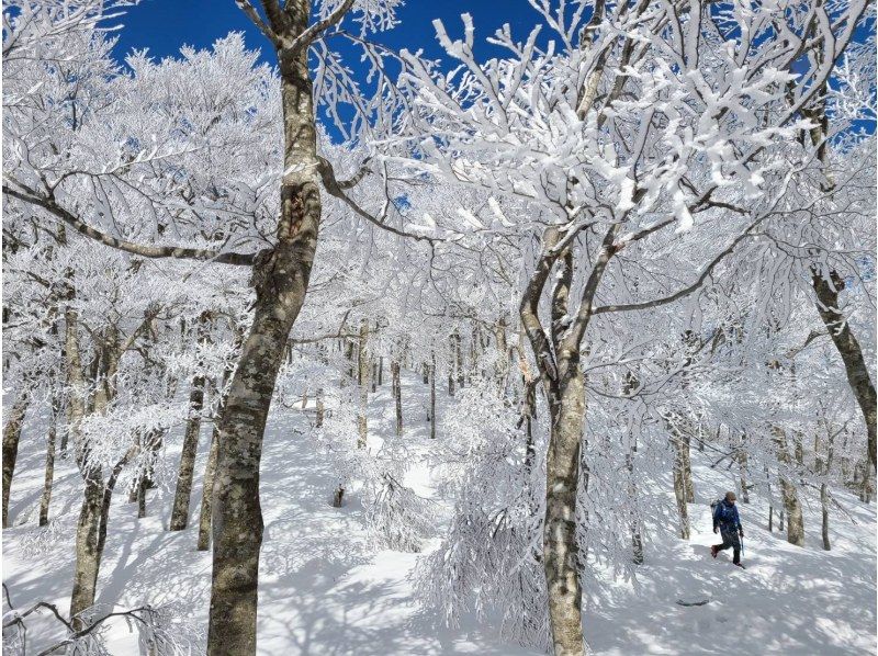 [Takashima/Kutsuki] Hebiyagamine Snow Hike Tour "Trekking with fantastic snow scenery and spectacular views of Lake Biwa!"の紹介画像