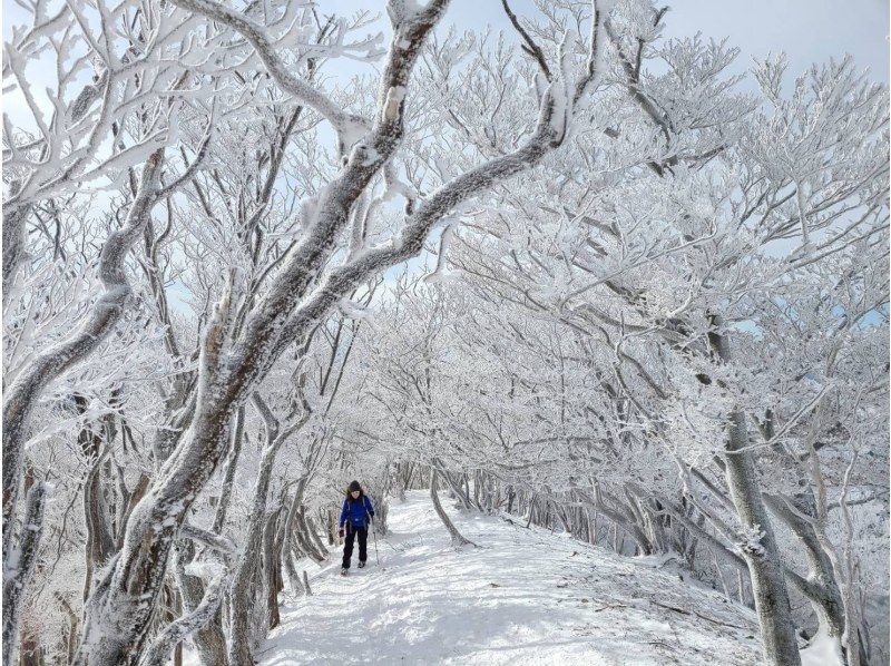 [Takashima/Kutsuki] Hebiyagamine Snow Hike Tour "Trekking with fantastic snow scenery and spectacular views of Lake Biwa!"の紹介画像