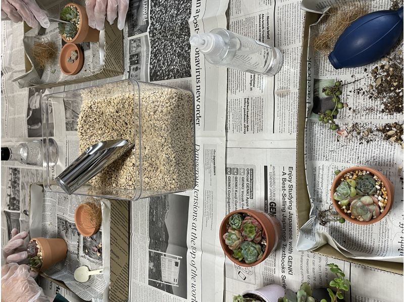 【3.4.5月限定】多肉植物の寄植え体験　（京都駅より15分）の紹介画像