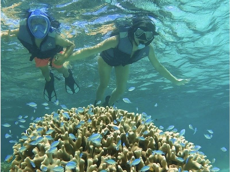 [Miyakojima - Complete in 1 Day] Sea Turtle Snorkeling + SUP + Night Tour | Premium Plan to Enjoy the Sea, Sky, and Starsの紹介画像
