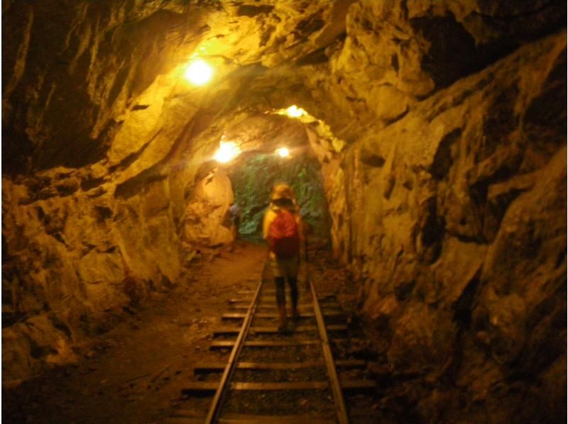 【鹿児島・屋久島】巨大切り株ウィルソン株！ハートを求めてトロッコ道をぶらぶらと♪トレッキング初心者OK！の紹介画像