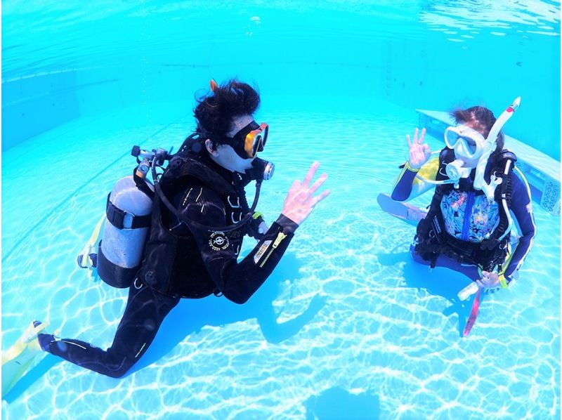 【伊豆・菖蒲沢】ビーチ体験ダイビング◇初心者歓迎＆専属ガイド付き◇穏やかな港内で楽しむ癒しとフォトジェニックな海時間の紹介画像