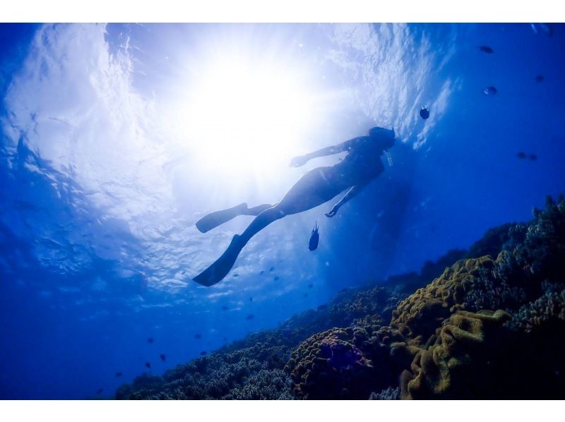 【차탄쵸】 스킨 다이빙! 맨 잠수 강의 ❤️ 수건 샌들 먹이 무료 ❗️ 프로 사양 카메라 사진 동영상 무료 선물 ‼ ️ 초보자 환영 ⭕️ 당일 ⭕️の紹介画像