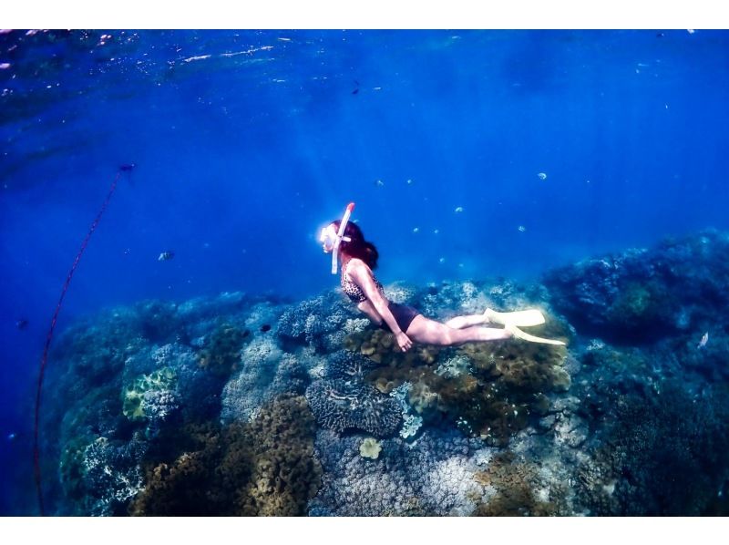 【차탄쵸】 스킨 다이빙! 맨 잠수 강의 ❤️ 수건 샌들 먹이 무료 ❗️ 프로 사양 카메라 사진 동영상 무료 선물 ‼ ️ 초보자 환영 ⭕️ 당일 ⭕️の紹介画像