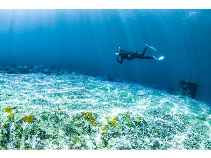 【차탄쵸】 스킨 다이빙! 맨 잠수 강의 ❤️ 수건 샌들 먹이 무료 ❗️ 프로 사양 카메라 사진 동영상 무료 선물 ‼ ️ 초보자 환영 ⭕️ 당일 ⭕️の紹介画像