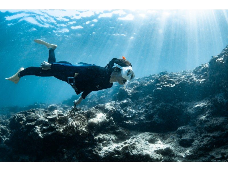 【차탄쵸】 스킨 다이빙! 맨 잠수 강의 ❤️ 수건 샌들 먹이 무료 ❗️ 프로 사양 카메라 사진 동영상 무료 선물 ‼ ️ 초보자 환영 ⭕️ 당일 ⭕️の紹介画像