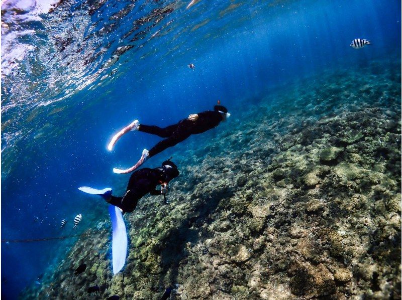 【차탄쵸】 스킨 다이빙! 맨 잠수 강의 ❤️ 수건 샌들 먹이 무료 ❗️ 프로 사양 카메라 사진 동영상 무료 선물 ‼ ️ 초보자 환영 ⭕️ 당일 ⭕️の紹介画像