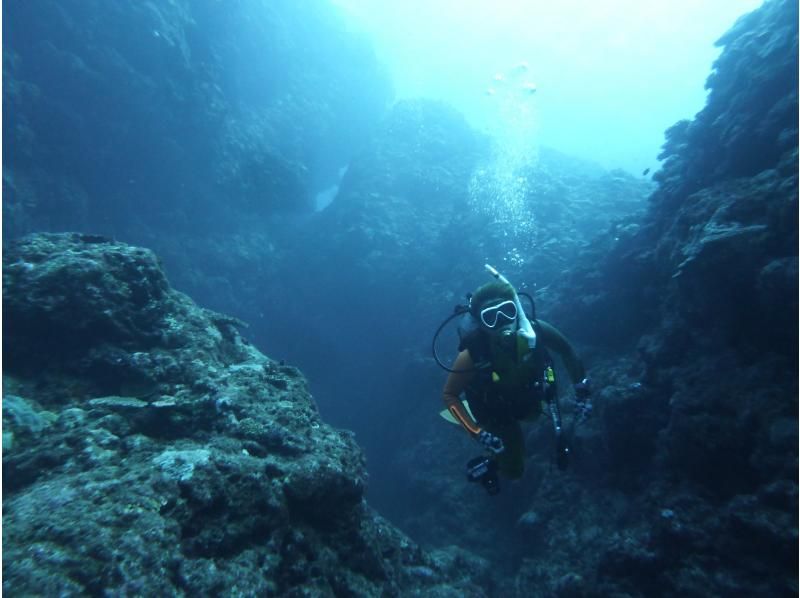 お手軽に那覇周辺2ボートダイビング　～リクエスト最優先　那覇空港・那覇市内(おもろまち新都心・首里地区は除く）まで送迎～の紹介画像