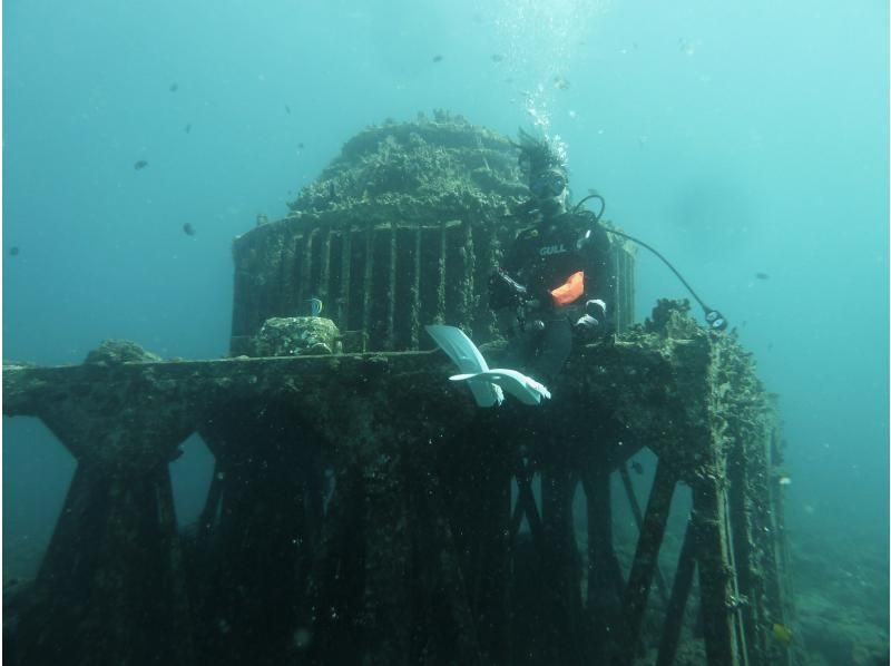 お手軽に那覇周辺2ボートダイビング　～リクエスト最優先　那覇空港・那覇市内(おもろまち新都心・首里地区は除く）まで送迎～の紹介画像