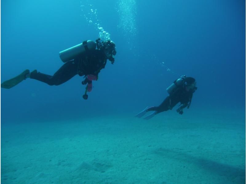 お手軽に那覇周辺2ボートダイビング　～リクエスト最優先　那覇空港・那覇市内(おもろまち新都心・首里地区は除く）まで送迎～の紹介画像