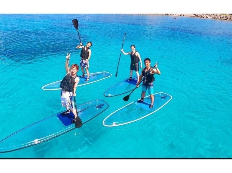 【沖縄県・本部町】透明な海に広がる色とりどりの魚たちと触れ合うクリアサップ&シュノーケル大冒険！の紹介画像