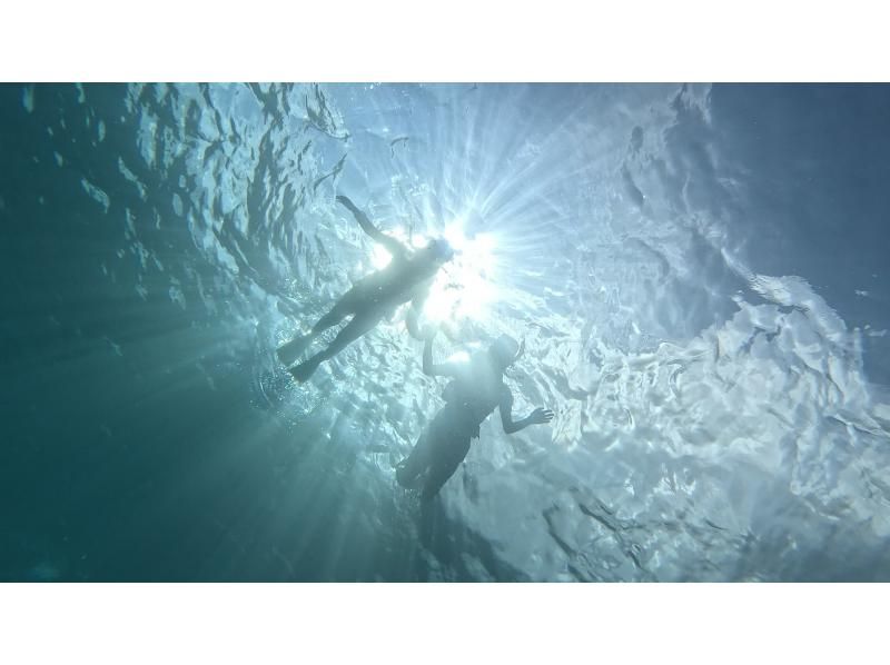 【沖縄県・本部町】透明な海に広がる色とりどりの魚たちと触れ合うクリアサップ&シュノーケル大冒険！の紹介画像