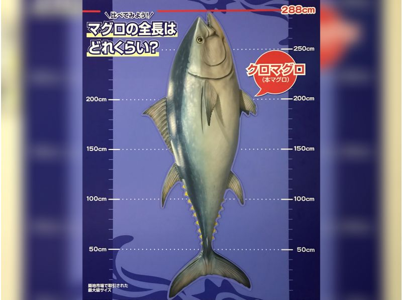 イヤホンガイド&reg;＆小冊子付♪｜豊洲市場見学ツアー 全街区まるわかりコース【東京・豊洲】の紹介画像