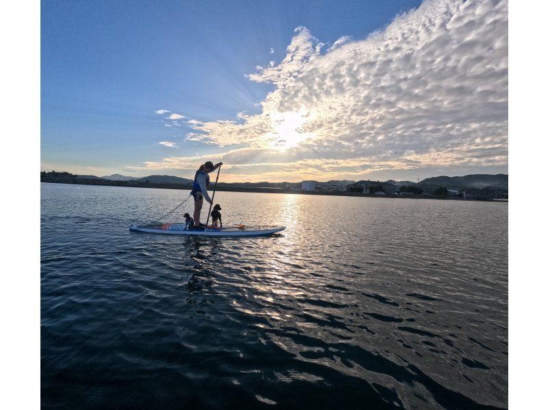 [Awaji Island, Autumn Only] Beginner-Friendly ♪ Sea Walking SUP Experience with Your Dog & Flower Festival Enjoyment Plan (Photos, Videos, Rentals, and Hot Showers Included)の紹介画像