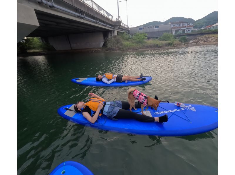 [Awaji Island, Autumn Only] Beginner-Friendly ♪ Sea Walking SUP Experience with Your Dog & Flower Festival Enjoyment Plan (Photos, Videos, Rentals, and Hot Showers Included)の紹介画像