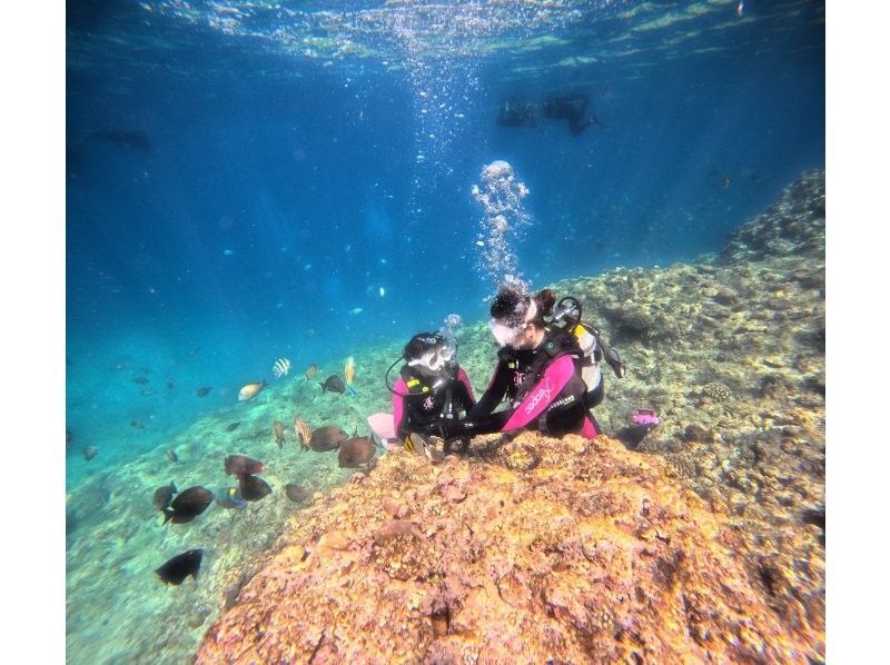 【恩納村】★☆初心者大歓迎☆★12〜45歳限定！追加料金一切なしのダイビング体験プラン！撮影・餌やり・シャワー・ドライヤー全てコミコミ！！の紹介画像
