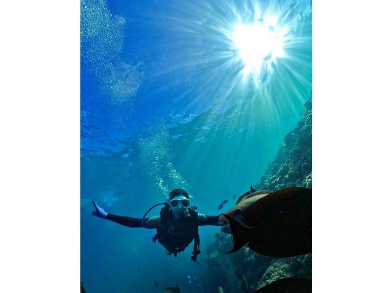 [Okinawa, Onna Village / Blue Cave] ★ Private Beach Diving ★ Free GoPro photos and videos immediately transferred to your smartphone ★ Tropical fish feeding experience ★ Beginners welcome, even those who can't swim are welcome ★の紹介画像