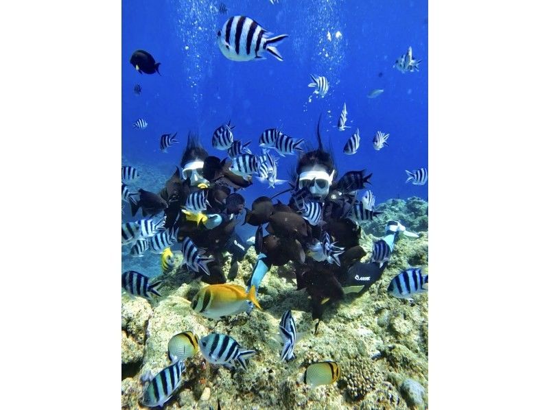 [Okinawa, Onna Village / Blue Cave] ★ Private Beach Diving ★ Free GoPro photos and videos immediately transferred to your smartphone ★ Tropical fish feeding experience ★ Beginners welcome, even those who can't swim are welcome ★の紹介画像