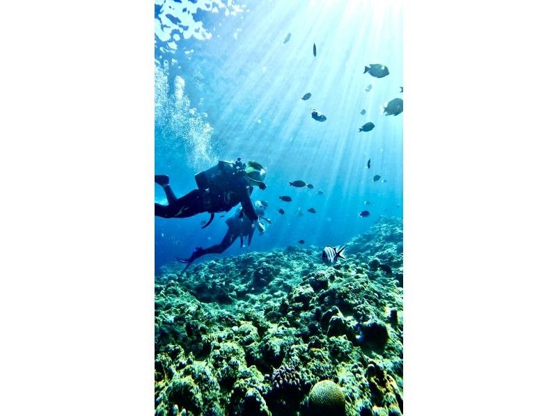 [Okinawa, Onna Village / Blue Cave] ★ Private Beach Diving ★ Free GoPro photos and videos immediately transferred to your smartphone ★ Tropical fish feeding experience ★ Beginners welcome, even those who can't swim are welcome ★の紹介画像