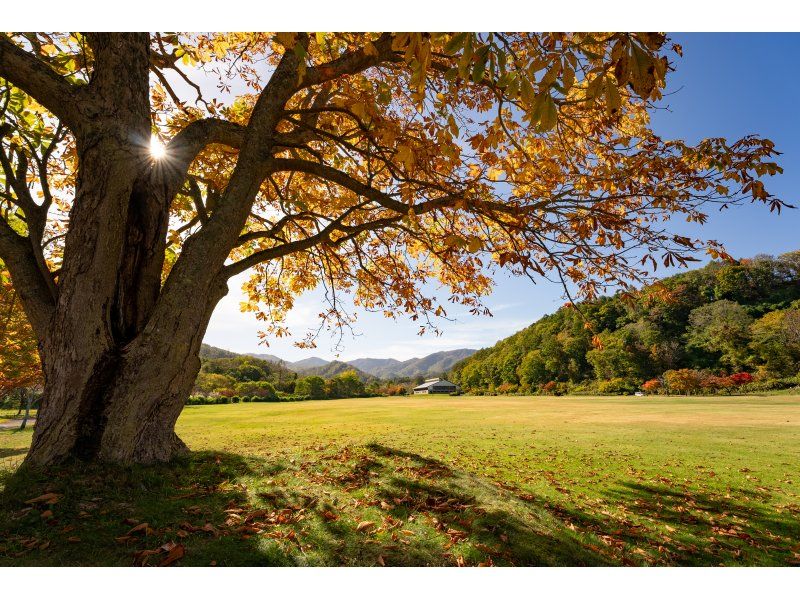 [Hokkaido, Hakodate] Enjoy the great outdoors of Hakodate to the fullest! A great value pass that lets you enjoy outdoor activities all day longの紹介画像