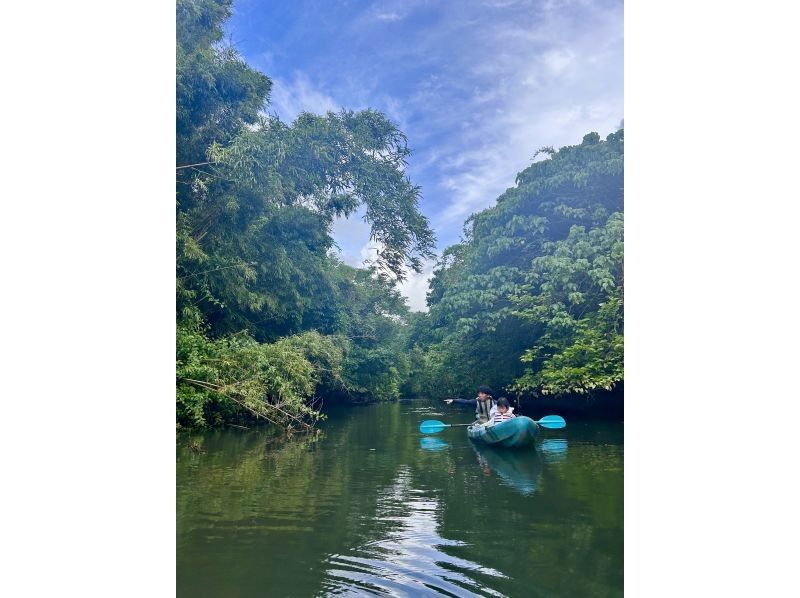 【沖縄・石垣島】 カヤックとトレッキングでゆく熱帯ジャングル大冒険の紹介画像