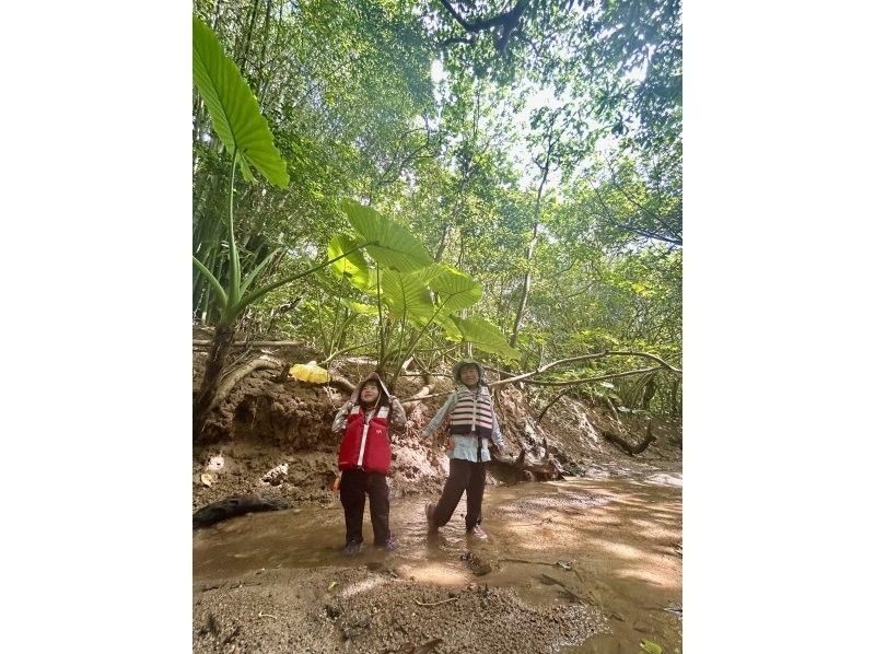 【沖縄・石垣島】 カヤックとトレッキングでゆく熱帯ジャングル大冒険の紹介画像