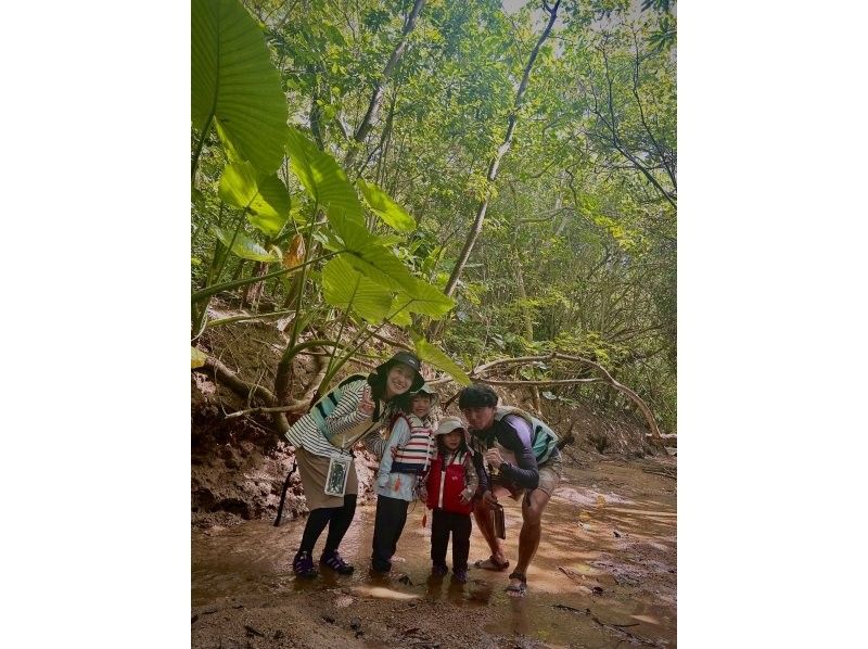 【沖縄・石垣島】 カヤックとトレッキングでゆく熱帯ジャングル大冒険の紹介画像