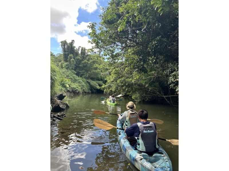 【沖縄・石垣島】 カヤックとトレッキングでゆく熱帯ジャングル大冒険の紹介画像